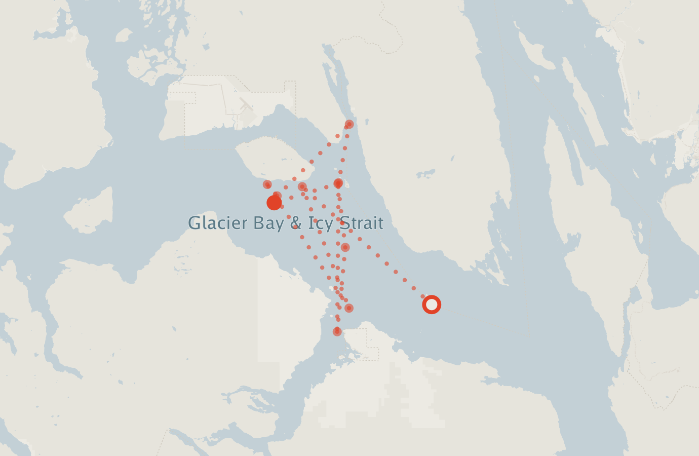 Activity map — real sighting points on an OpenStreetMap basemap