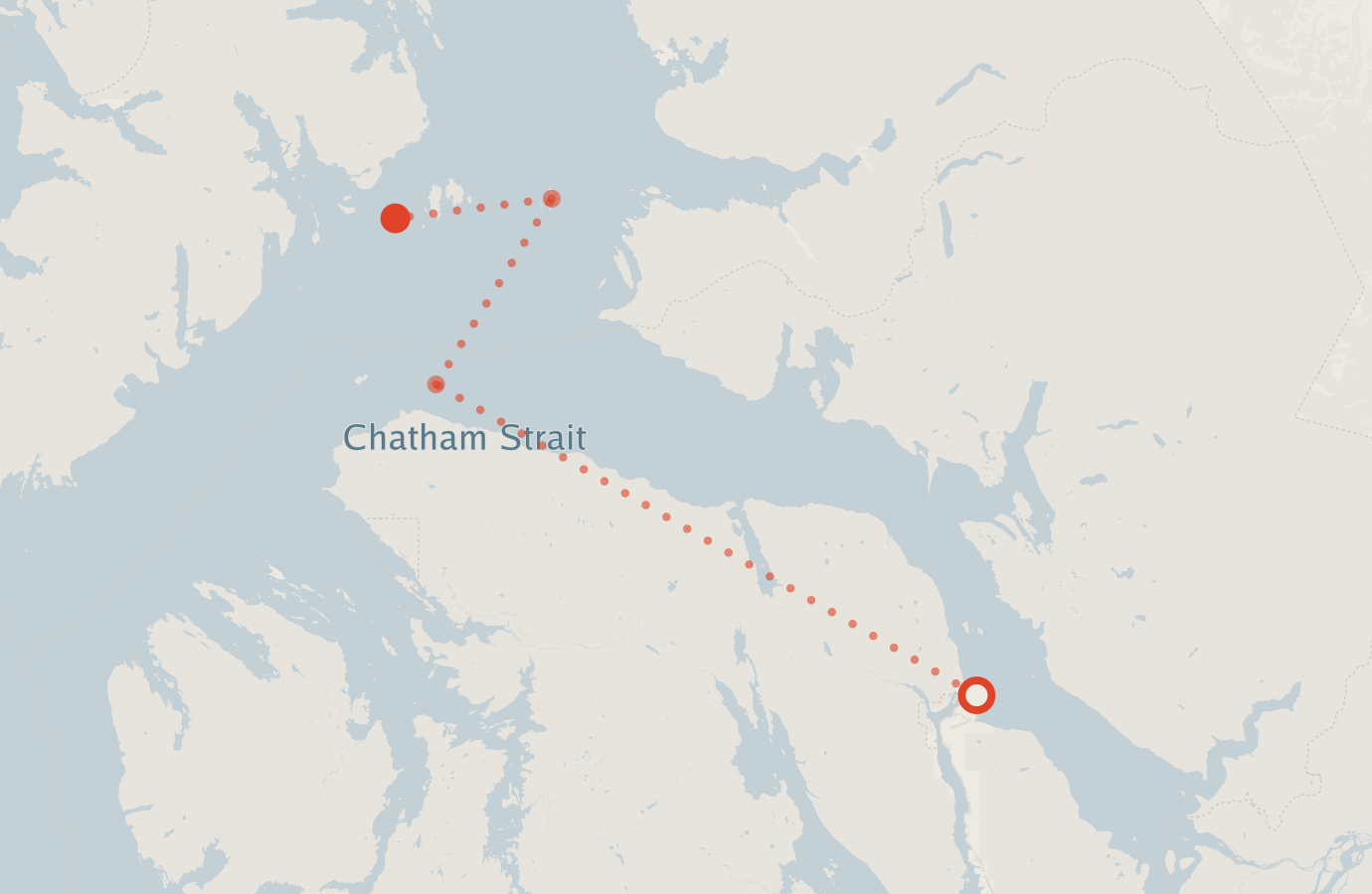 Activity map — real sighting points on an OpenStreetMap basemap