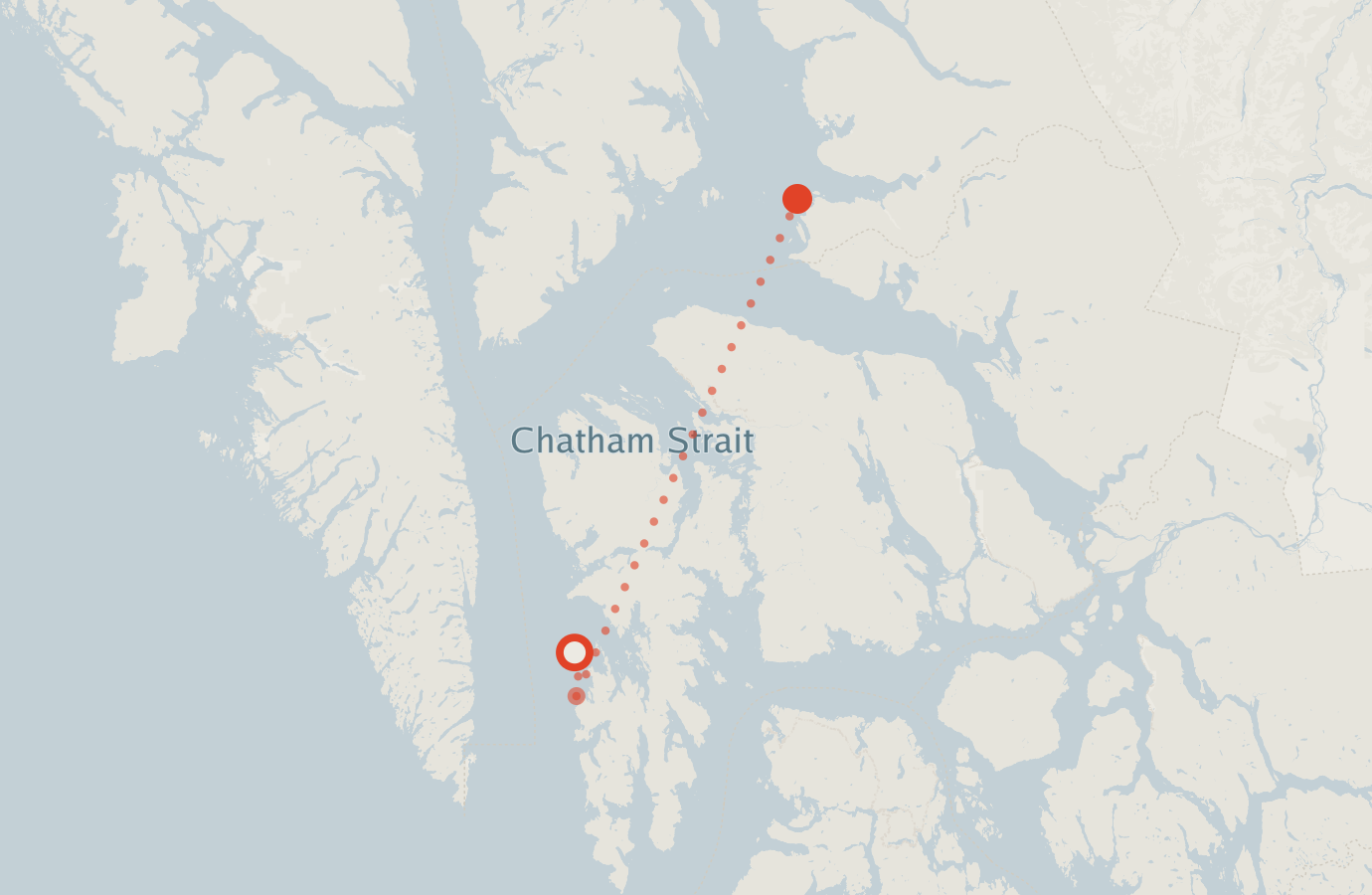 Activity map — real sighting points on an OpenStreetMap basemap