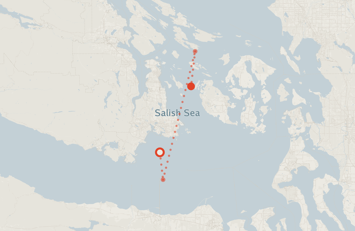 Activity map — real sighting points on an OpenStreetMap basemap