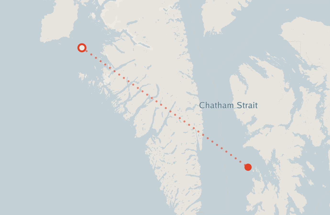 Activity map — real sighting points on an OpenStreetMap basemap