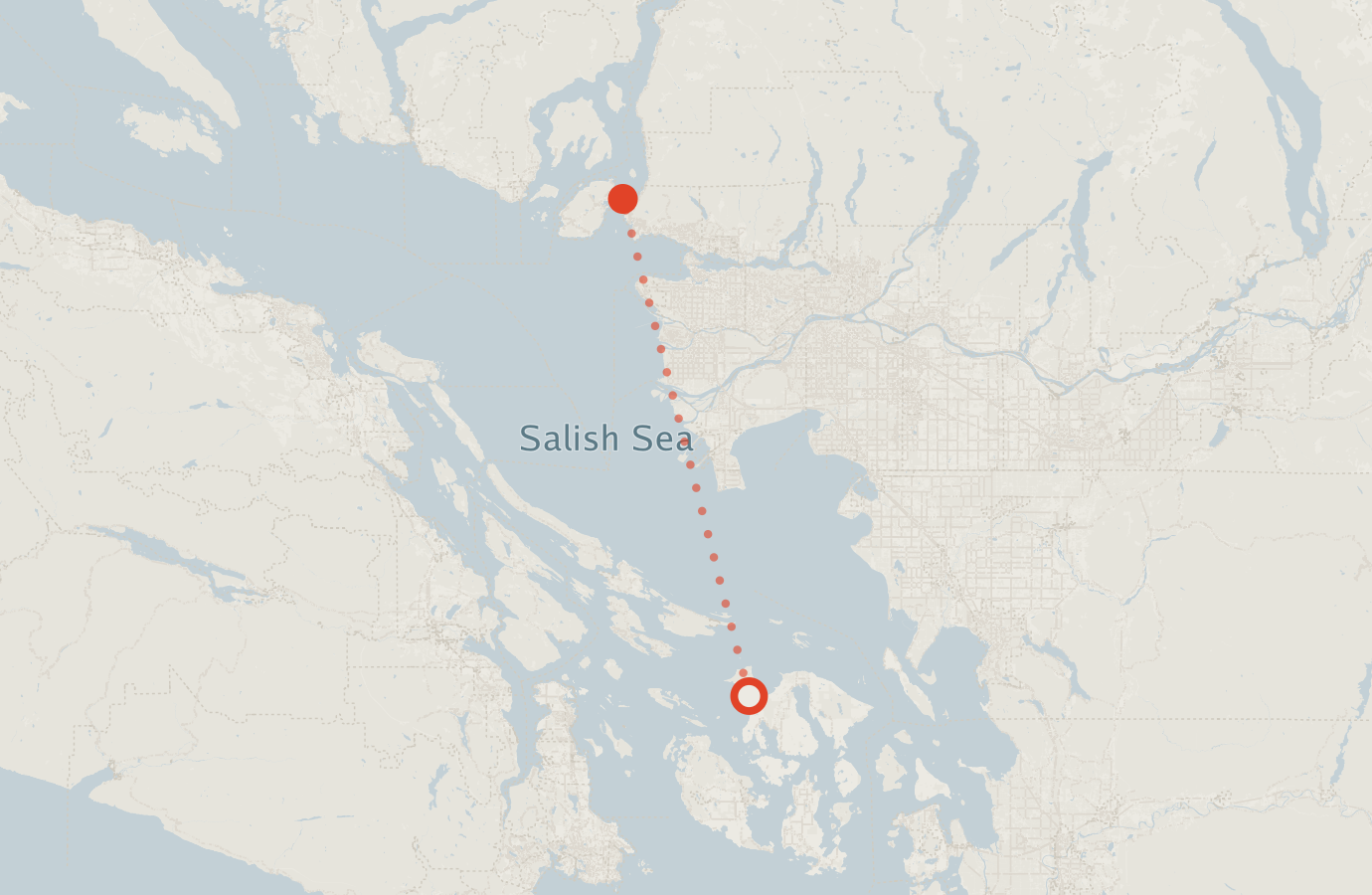 Activity map — real sighting points on an OpenStreetMap basemap