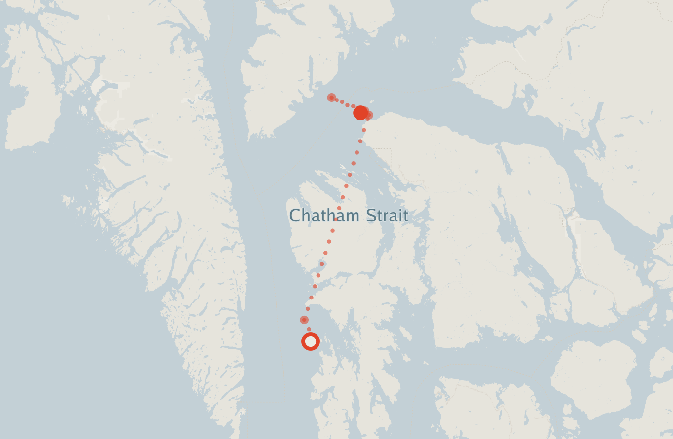 Activity map — real sighting points on an OpenStreetMap basemap