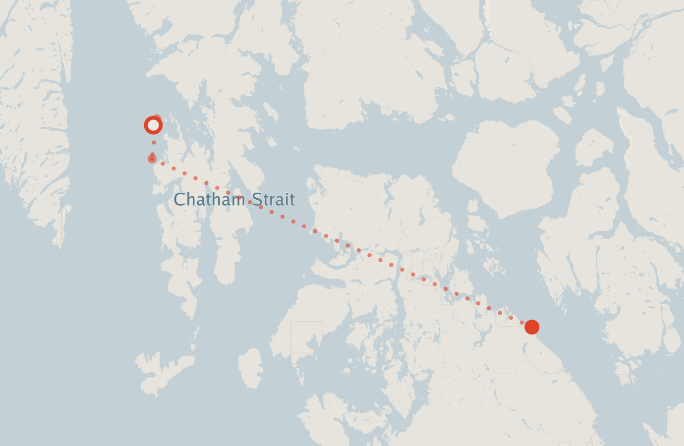 Activity map — real sighting points on an OpenStreetMap basemap