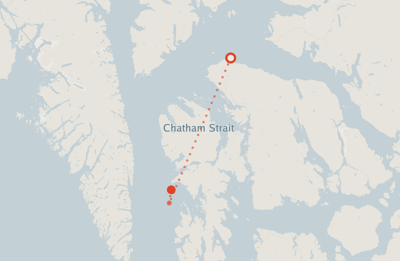 Activity map — real sighting points on an OpenStreetMap basemap