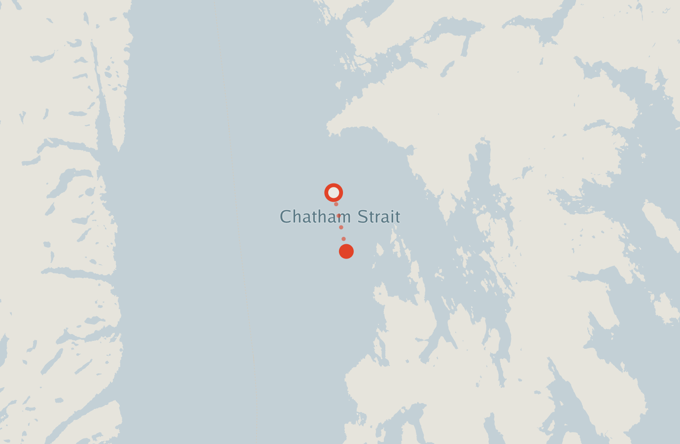Activity map — real sighting points on an OpenStreetMap basemap