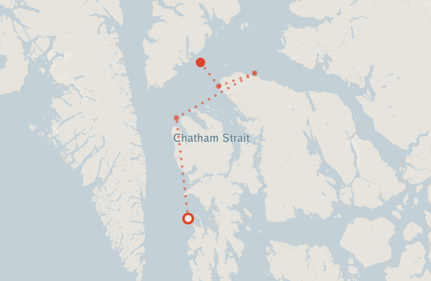 Activity map — real sighting points on an OpenStreetMap basemap