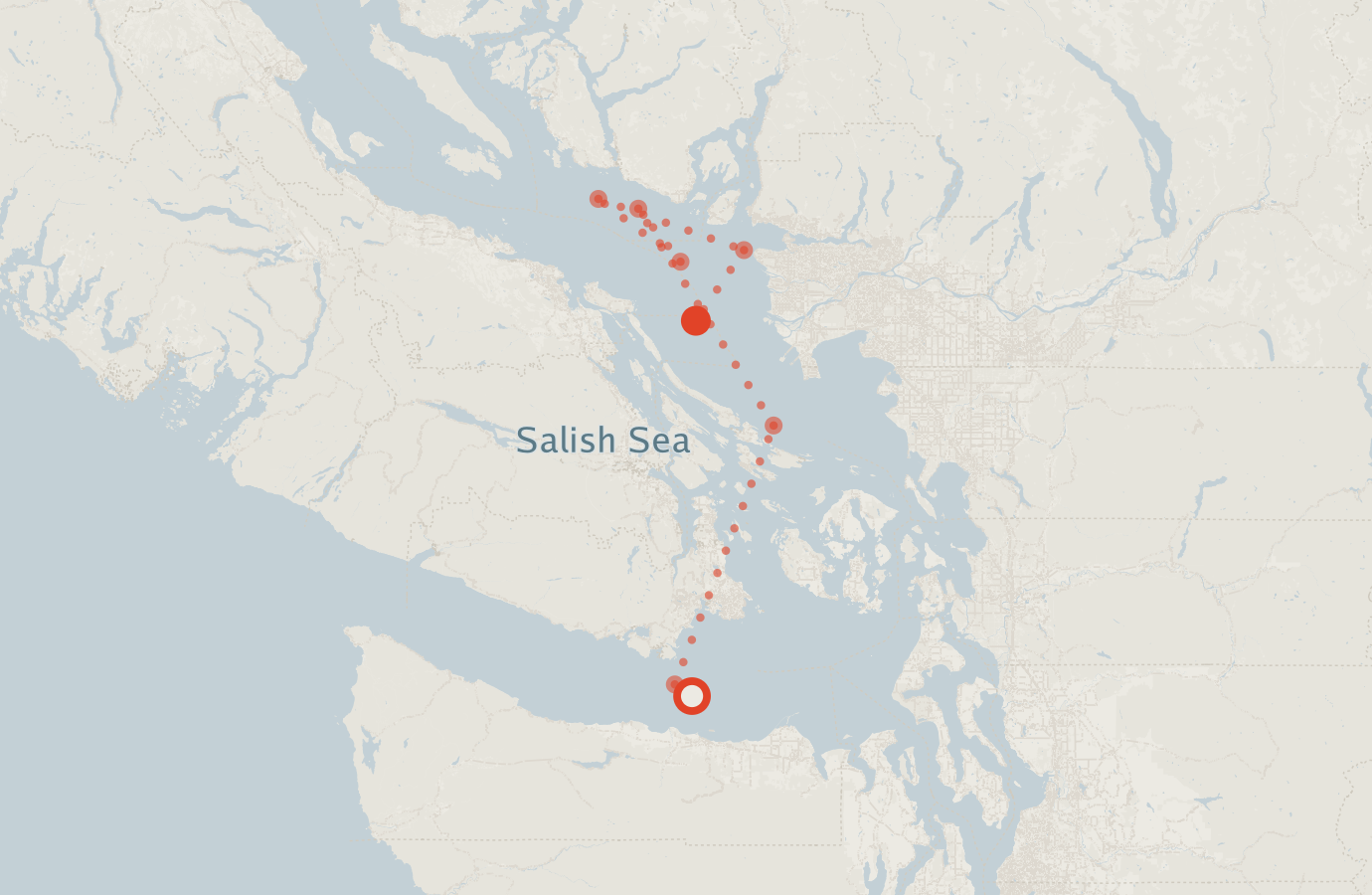Activity map — real sighting points on an OpenStreetMap basemap
