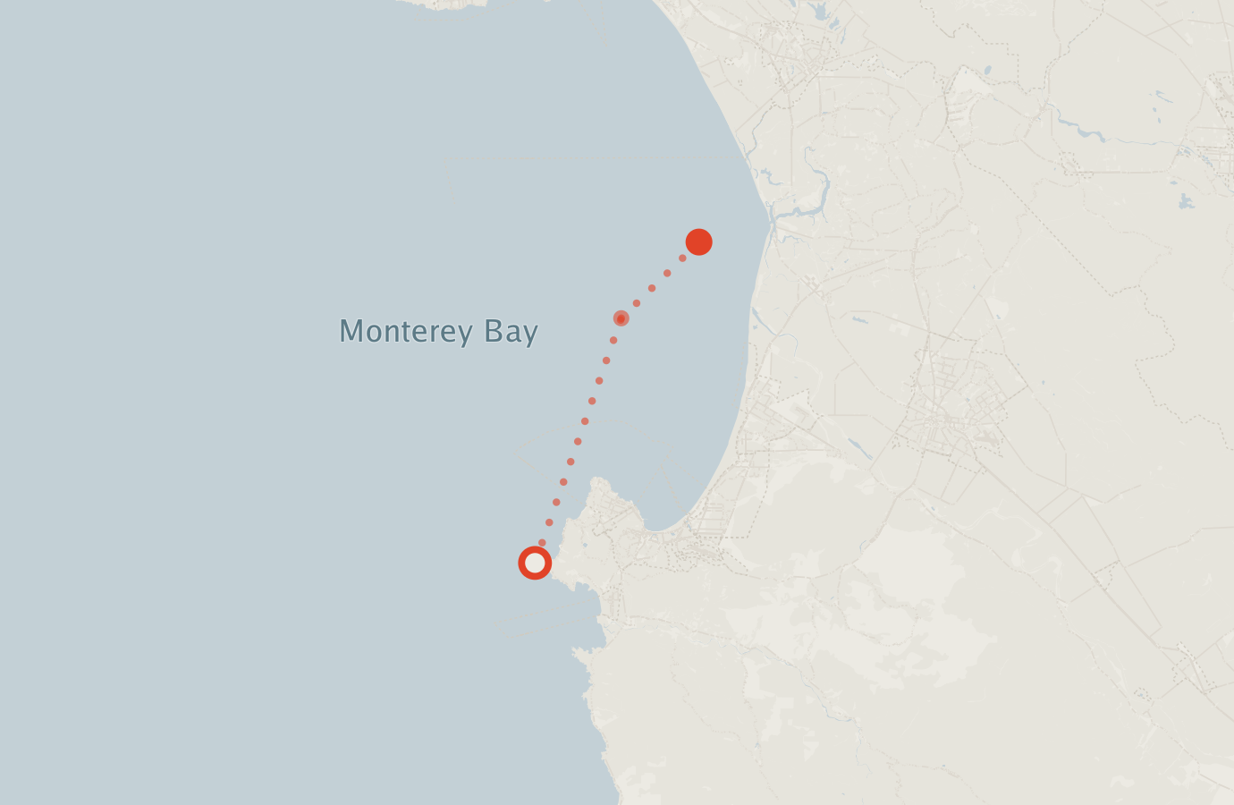Activity map — real sighting points on an OpenStreetMap basemap