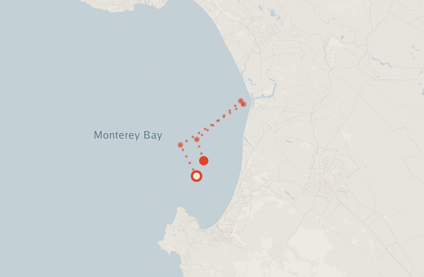 Activity map — real sighting points on an OpenStreetMap basemap