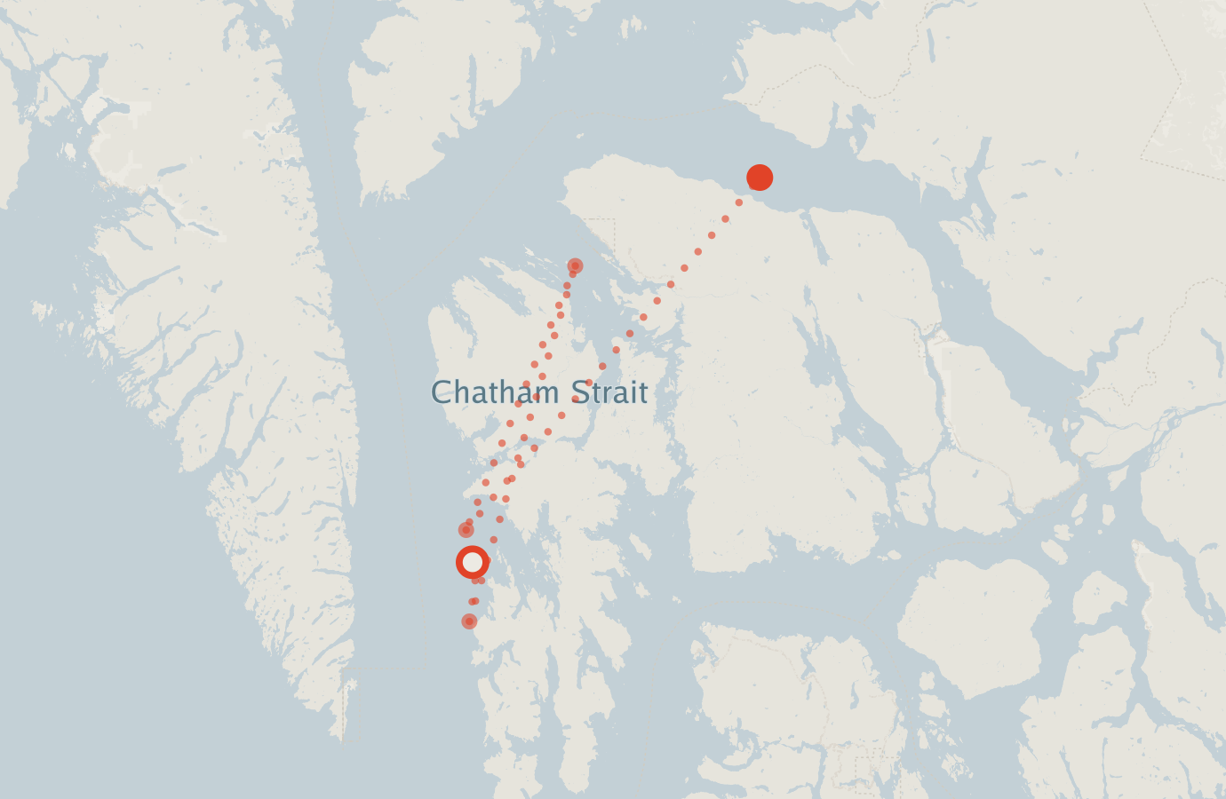 Activity map — real sighting points on an OpenStreetMap basemap