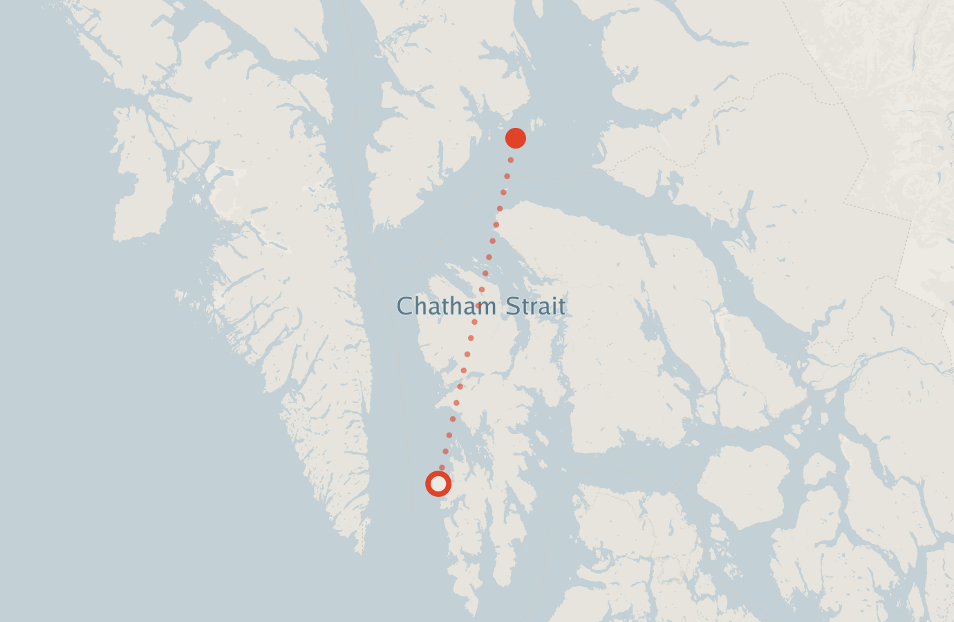 Activity map — real sighting points on an OpenStreetMap basemap