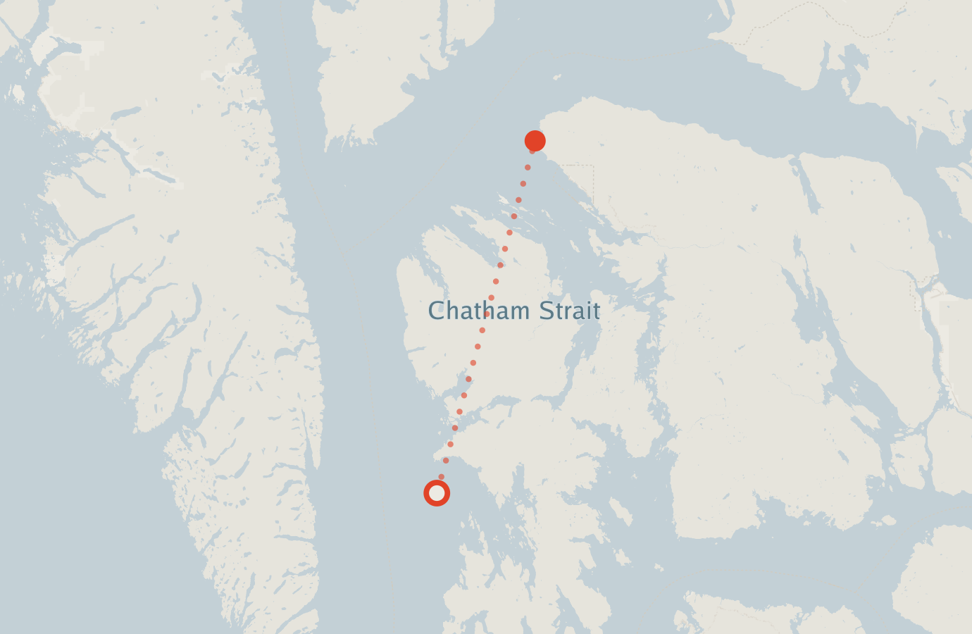 Activity map — real sighting points on an OpenStreetMap basemap