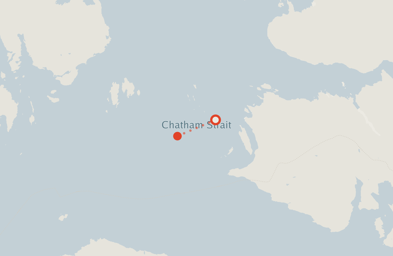 Activity map — real sighting points on an OpenStreetMap basemap