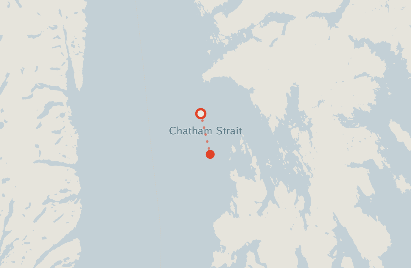 Activity map — real sighting points on an OpenStreetMap basemap