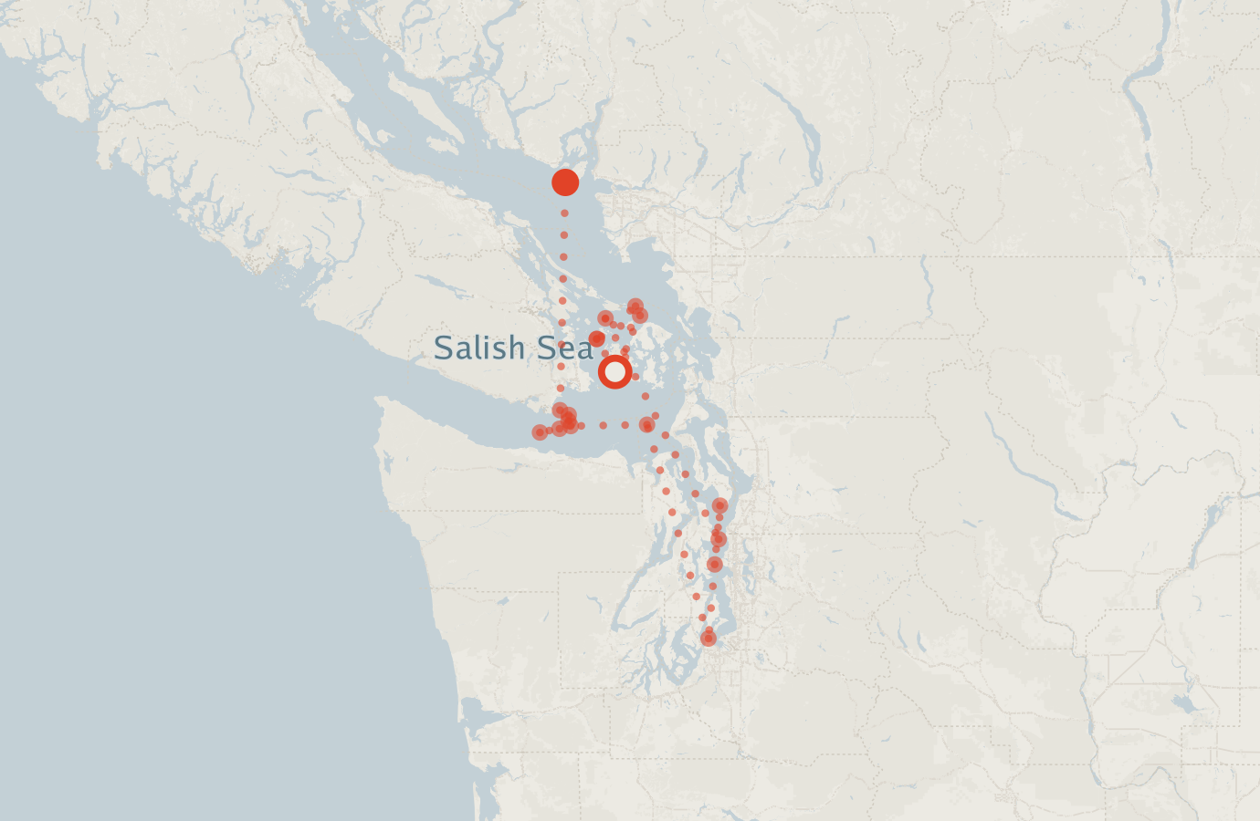 Activity map — real sighting points on an OpenStreetMap basemap