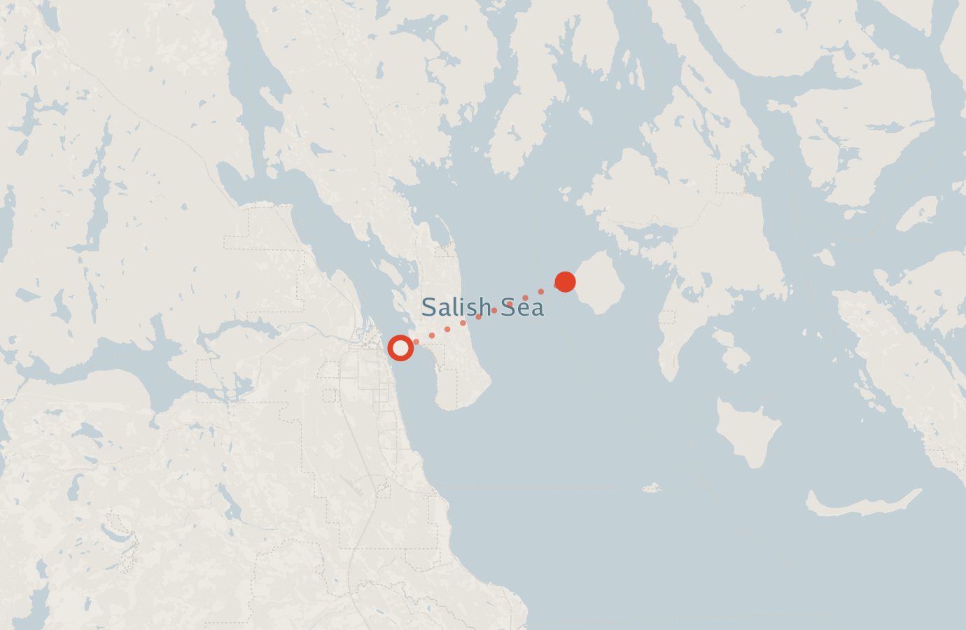 Activity map — real sighting points on an OpenStreetMap basemap