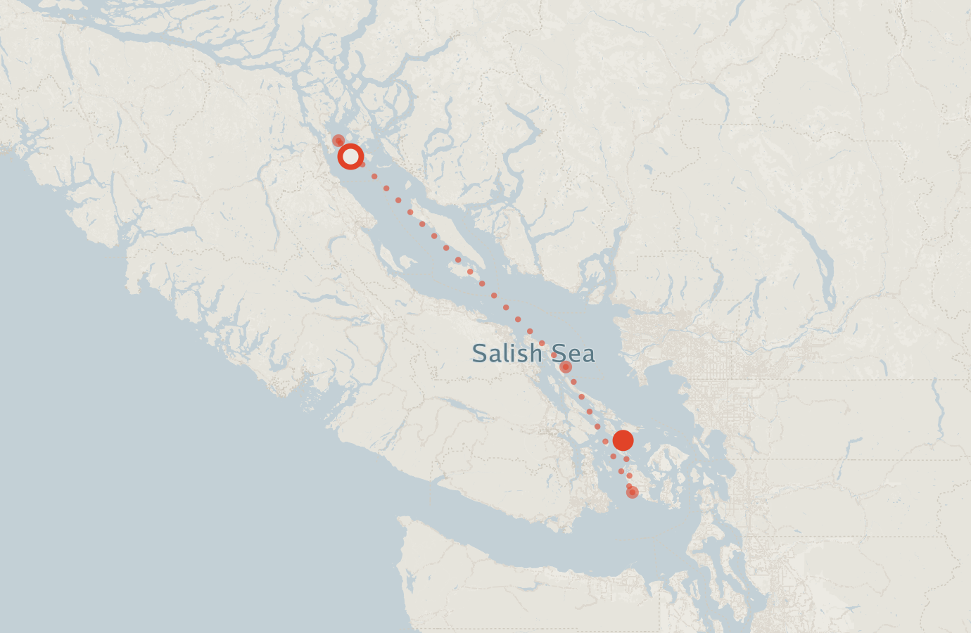 Activity map — real sighting points on an OpenStreetMap basemap