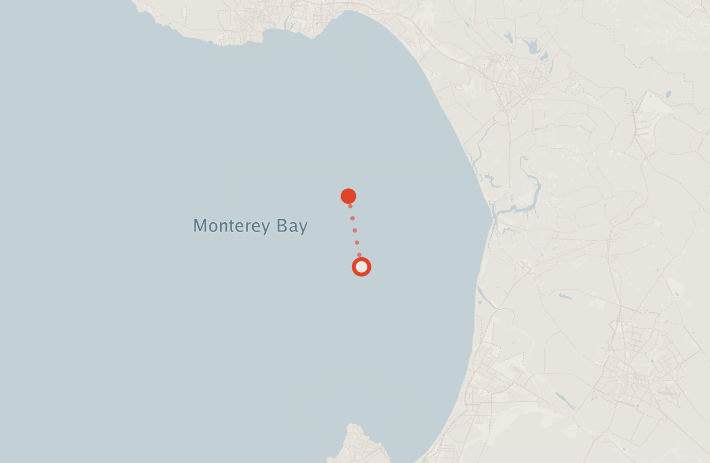 Activity map — real sighting points on an OpenStreetMap basemap