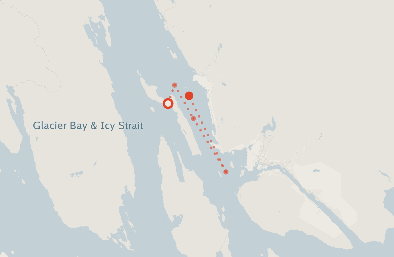 Activity map — real sighting points on an OpenStreetMap basemap