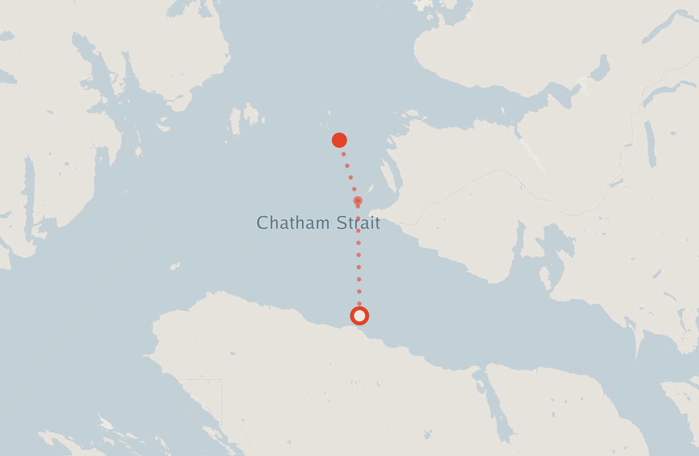 Activity map — real sighting points on an OpenStreetMap basemap