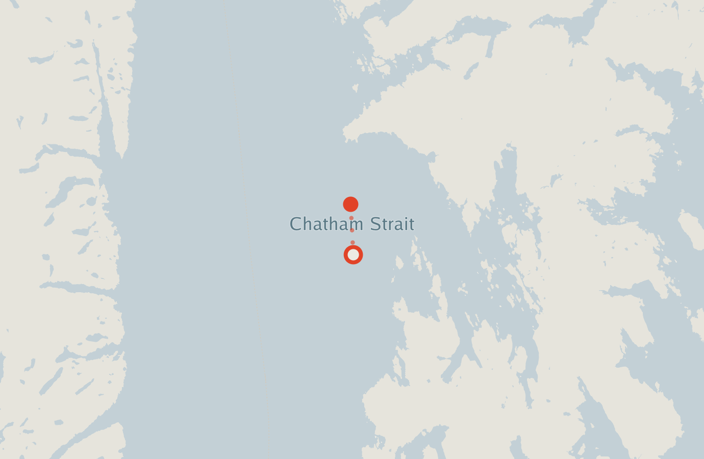 Activity map — real sighting points on an OpenStreetMap basemap