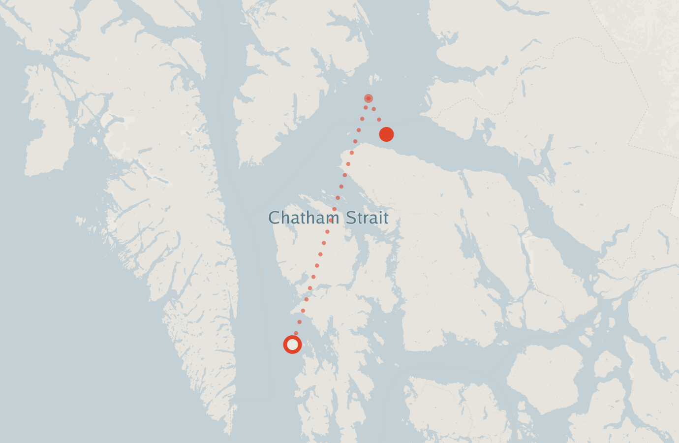 Activity map — real sighting points on an OpenStreetMap basemap