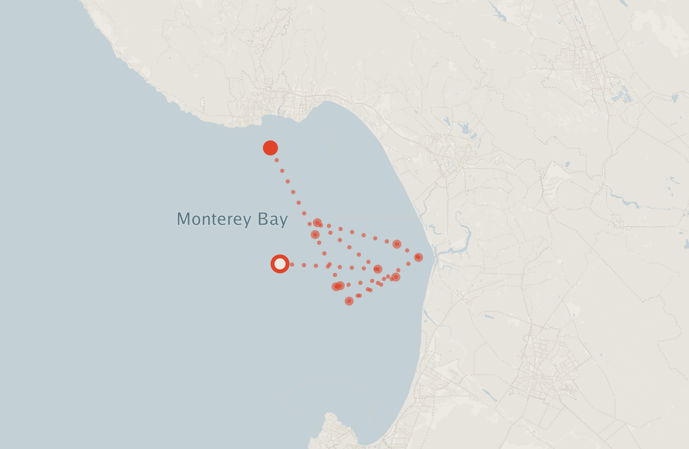 Activity map — real sighting points on an OpenStreetMap basemap