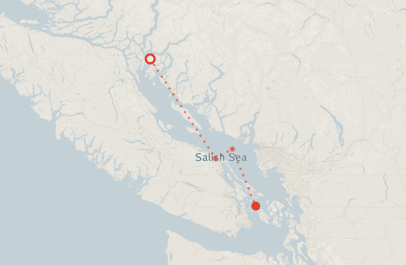 Activity map — real sighting points on an OpenStreetMap basemap