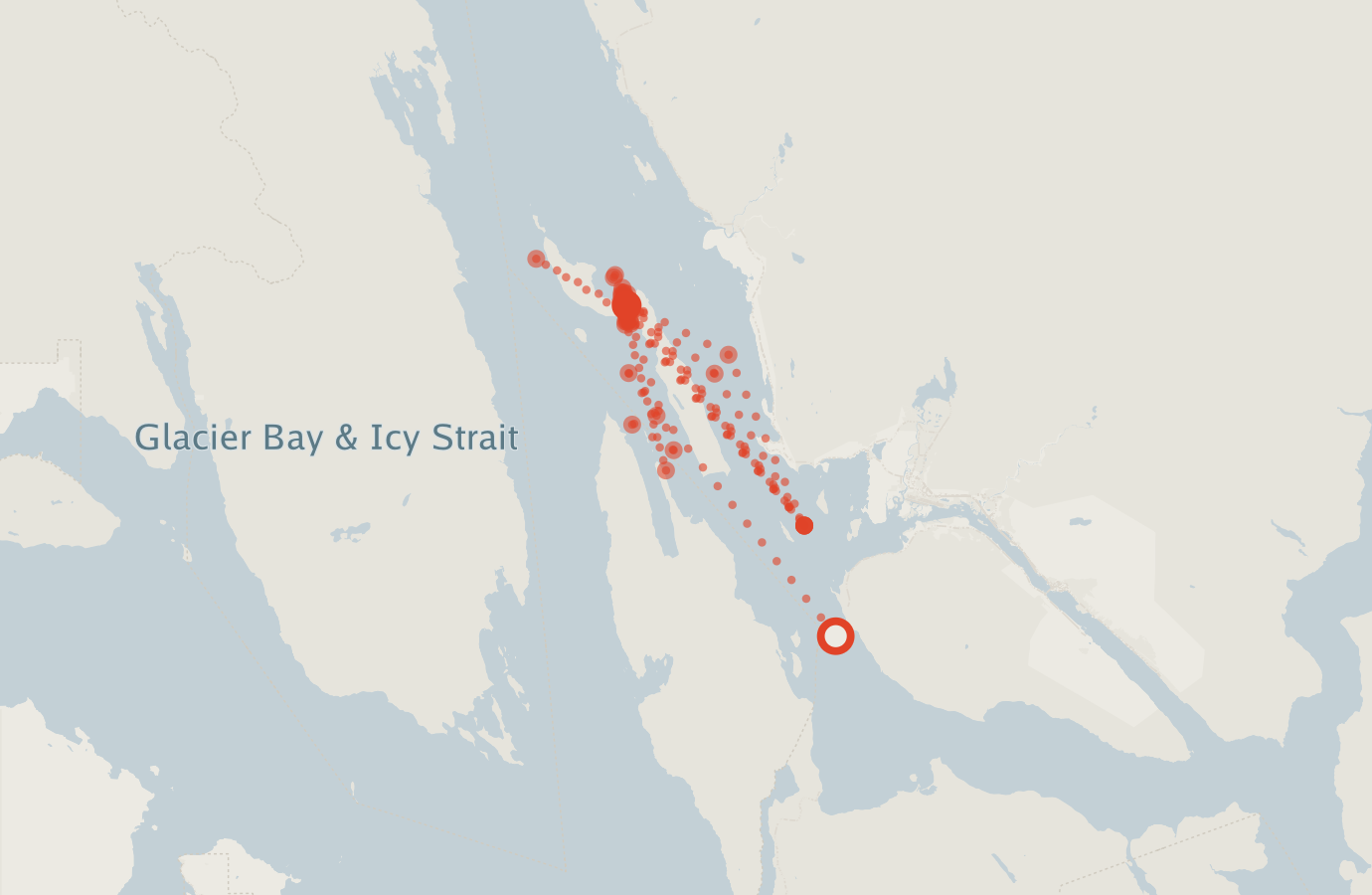 Activity map — real sighting points on an OpenStreetMap basemap