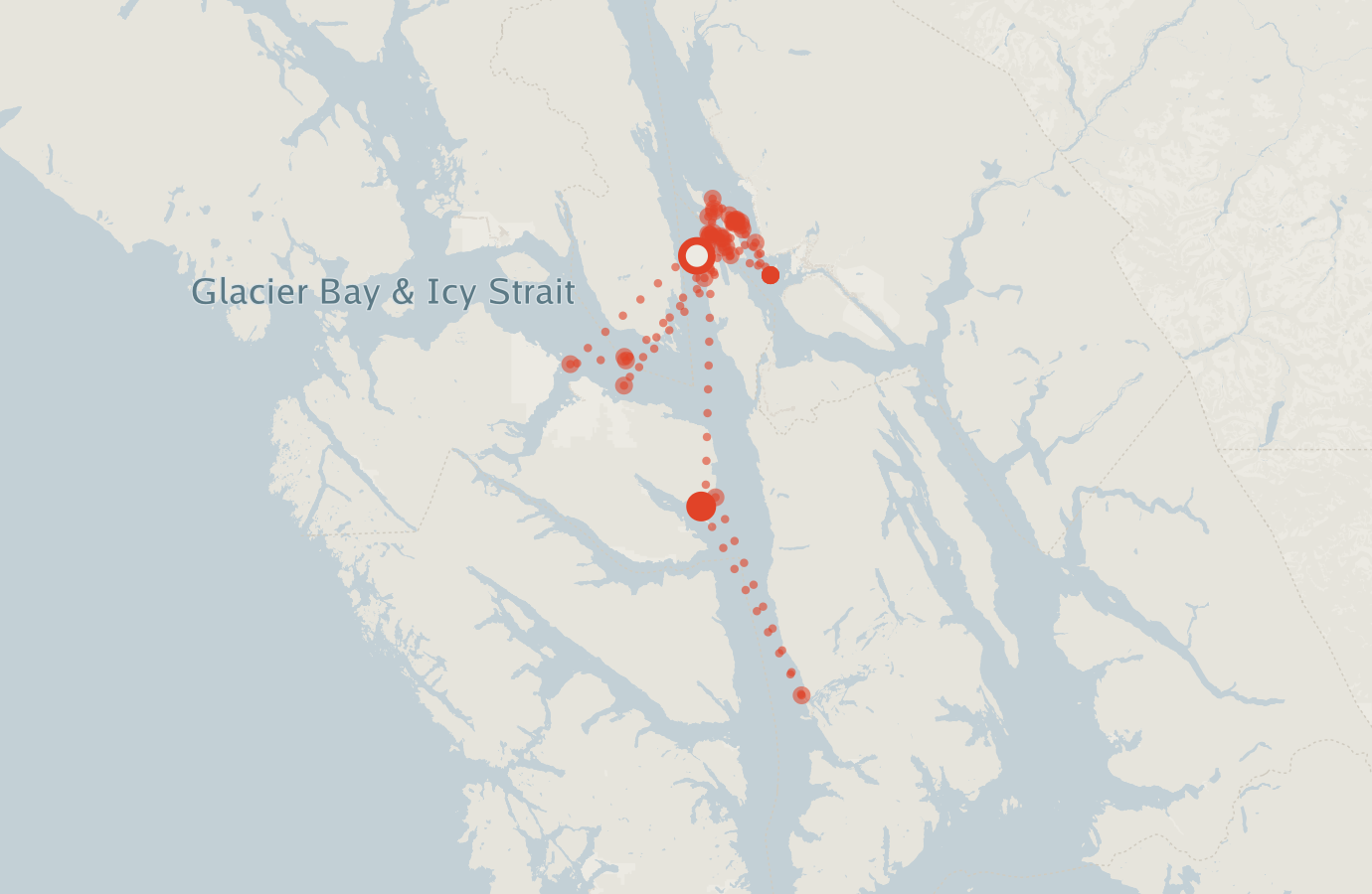 Activity map — real sighting points on an OpenStreetMap basemap