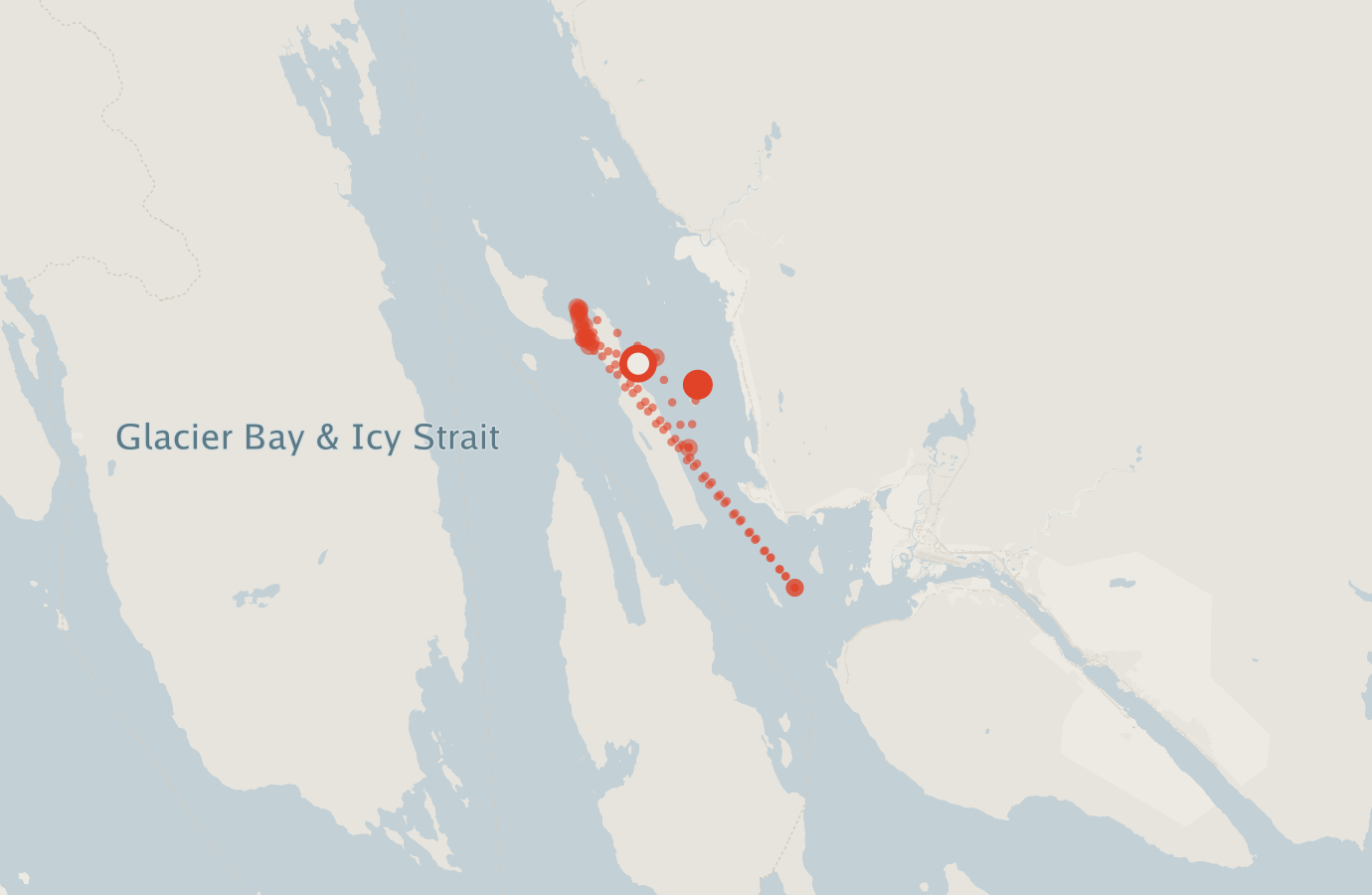 Activity map — real sighting points on an OpenStreetMap basemap