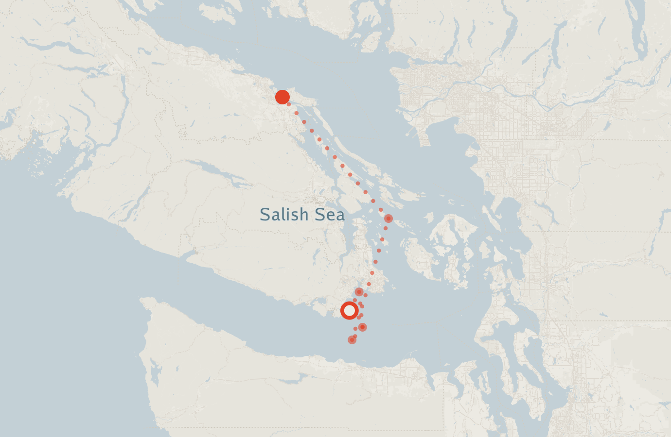Activity map — real sighting points on an OpenStreetMap basemap