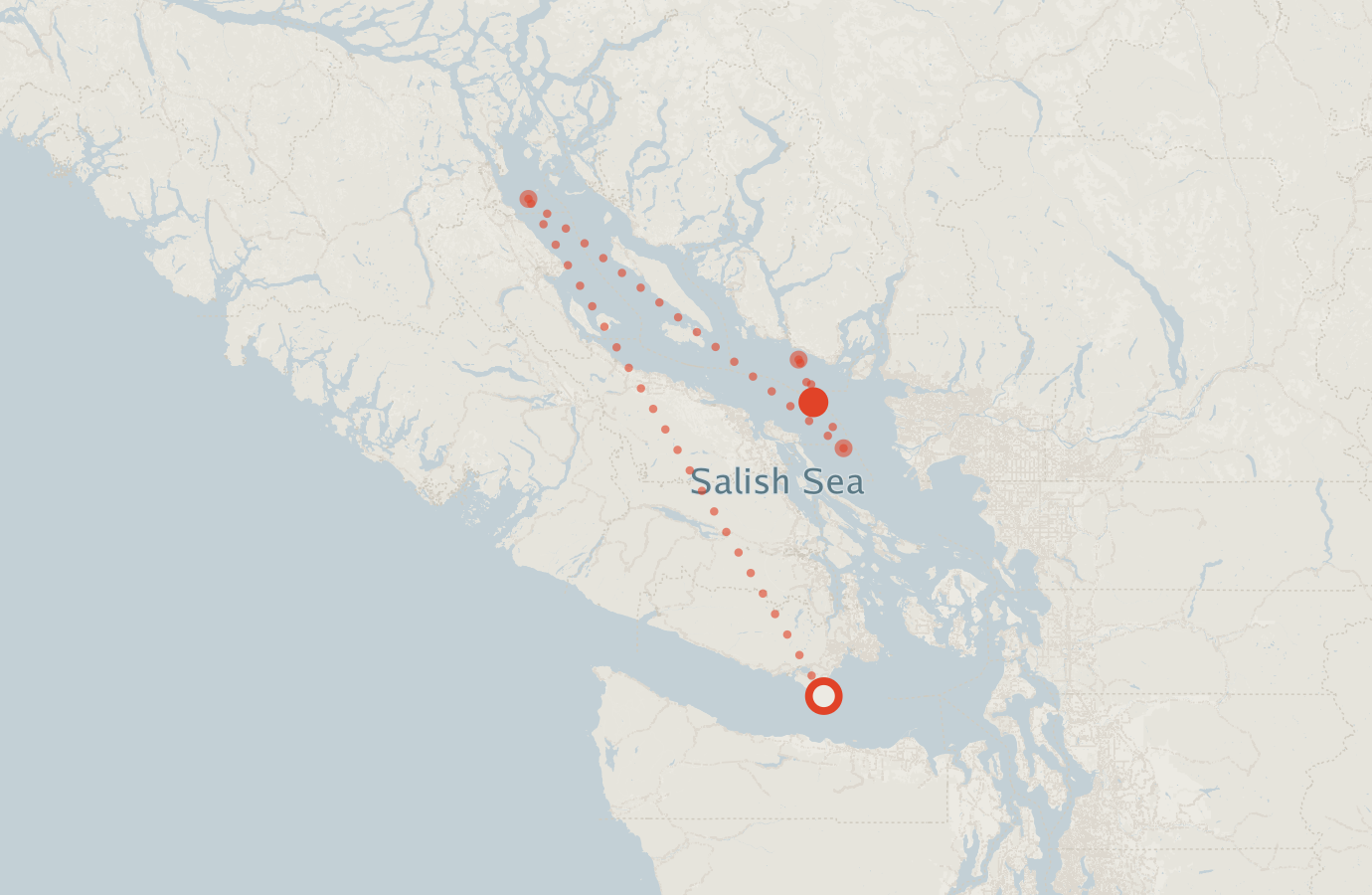 Activity map — real sighting points on an OpenStreetMap basemap