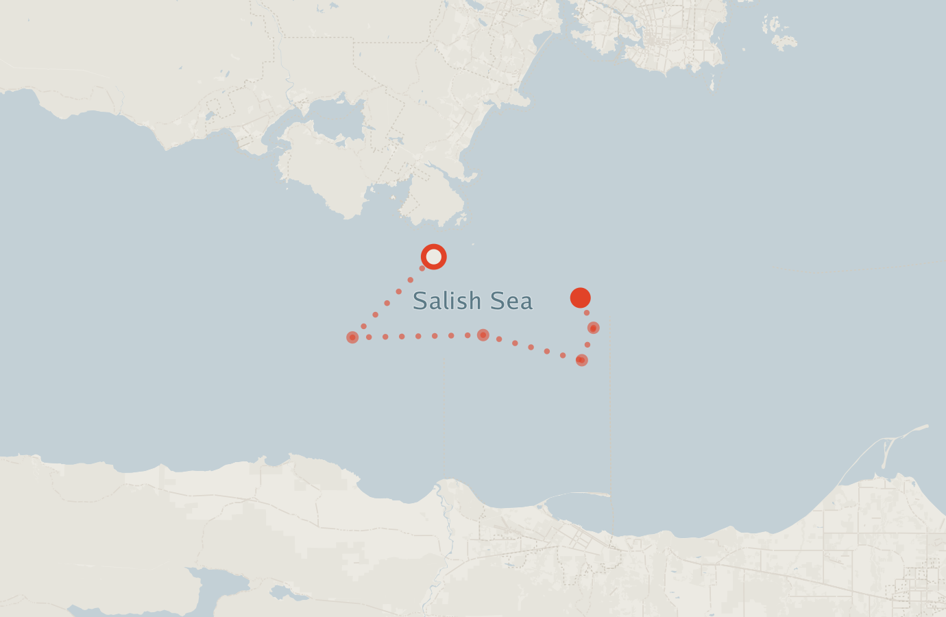 Activity map — real sighting points on an OpenStreetMap basemap