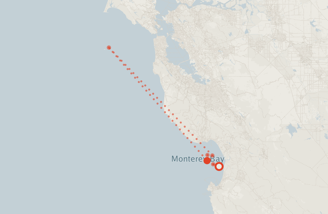 Activity map — real sighting points on an OpenStreetMap basemap