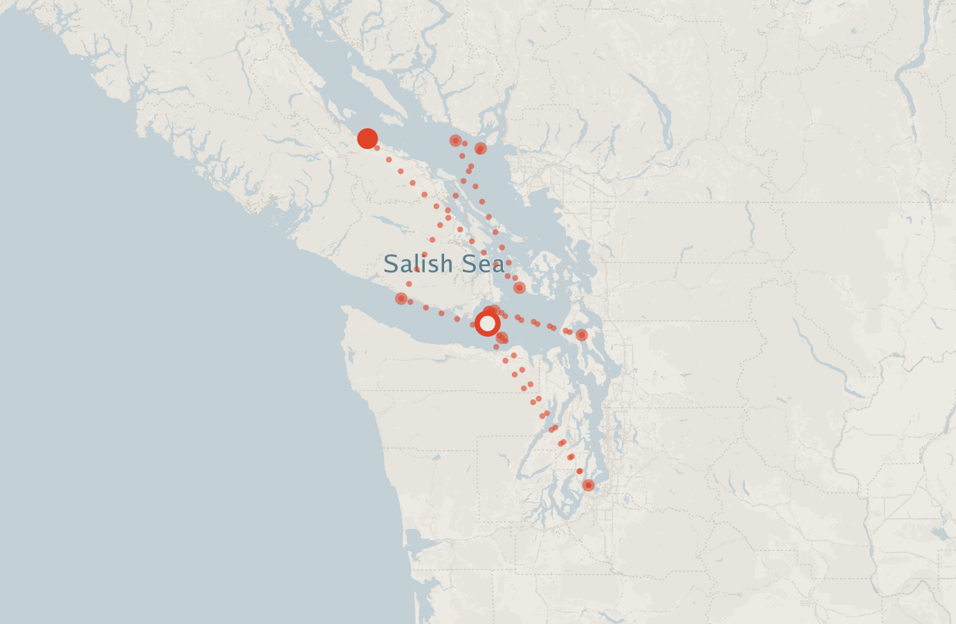 Activity map — real sighting points on an OpenStreetMap basemap