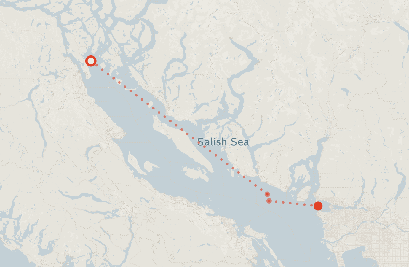 Activity map — real sighting points on an OpenStreetMap basemap