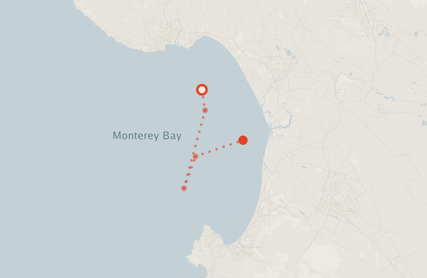 Activity map — real sighting points on an OpenStreetMap basemap