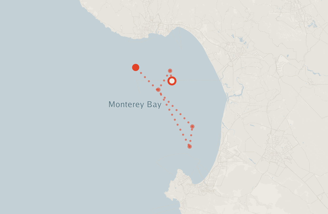 Activity map — real sighting points on an OpenStreetMap basemap