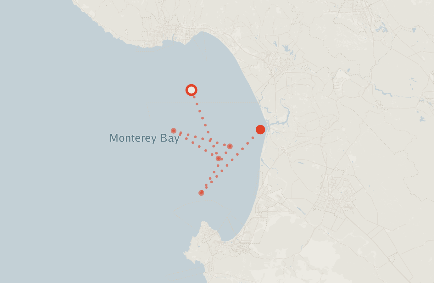 Activity map — real sighting points on an OpenStreetMap basemap