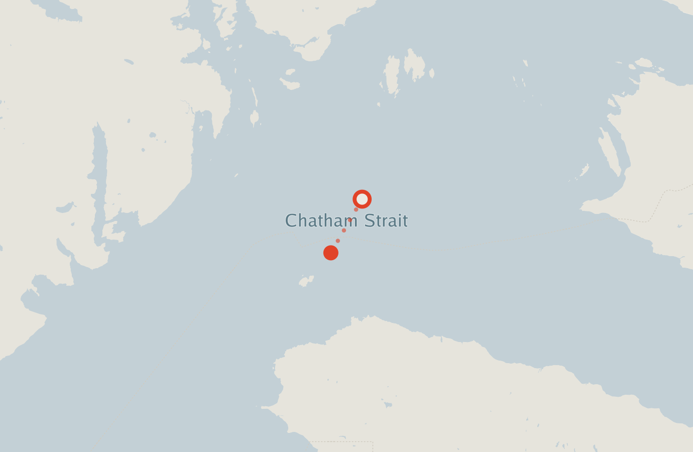 Activity map — real sighting points on an OpenStreetMap basemap