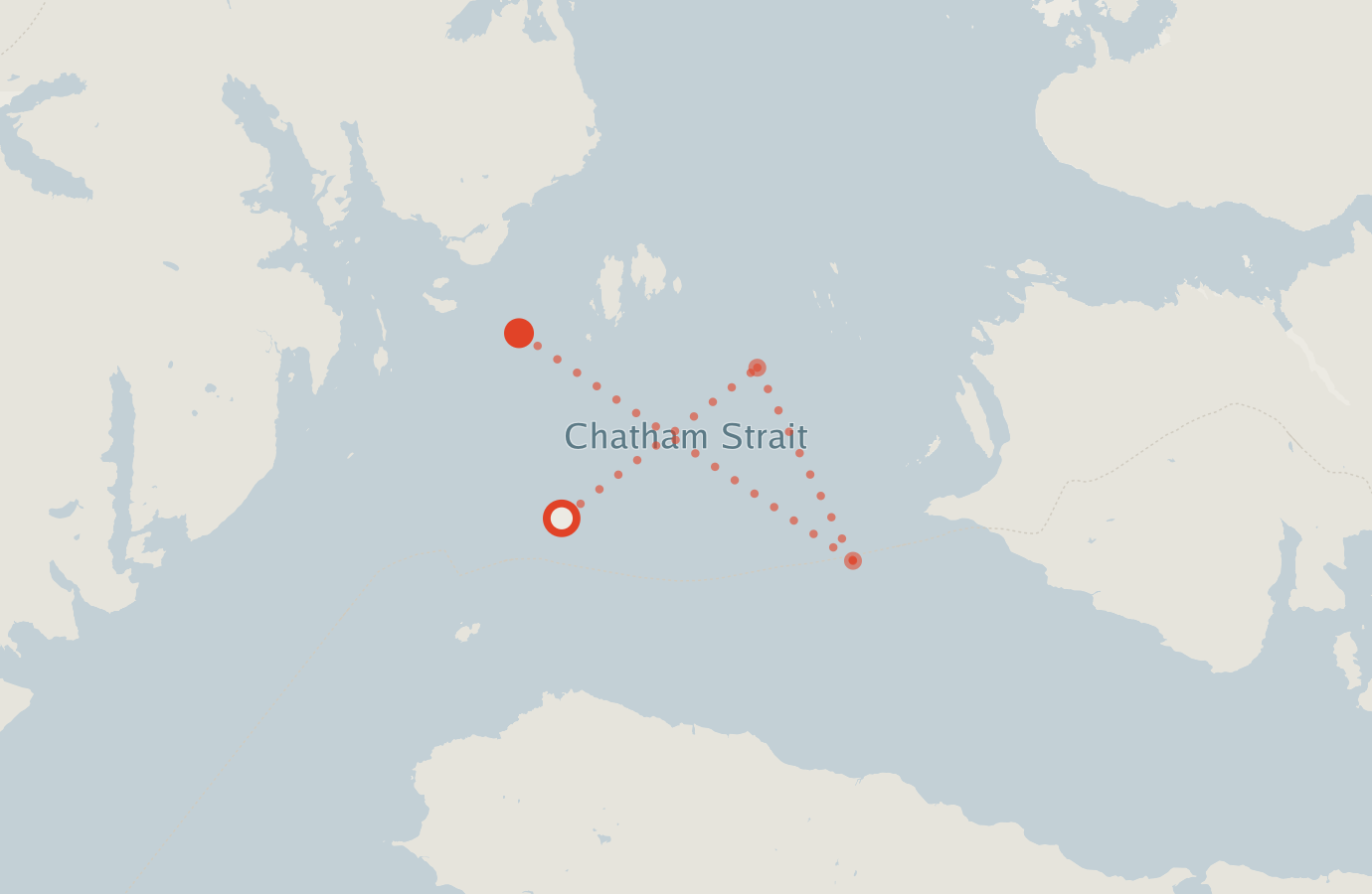 Activity map — real sighting points on an OpenStreetMap basemap