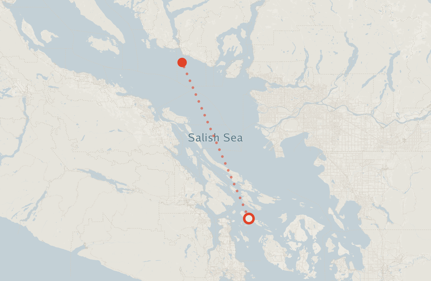 Activity map — real sighting points on an OpenStreetMap basemap
