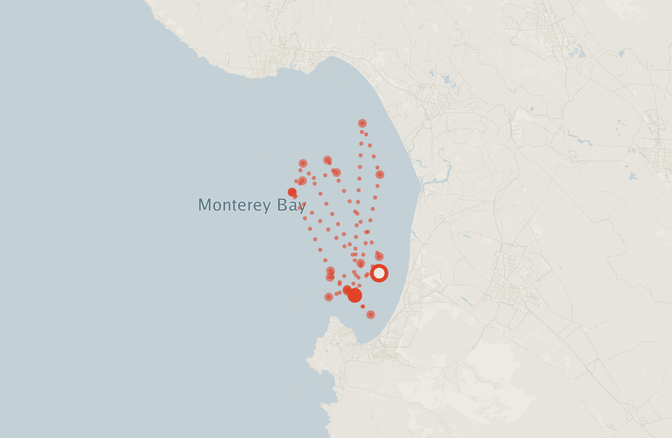 Activity map — real sighting points on an OpenStreetMap basemap