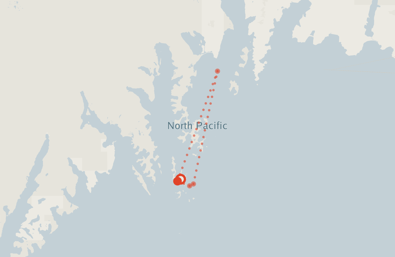 Activity map — real sighting points on an OpenStreetMap basemap