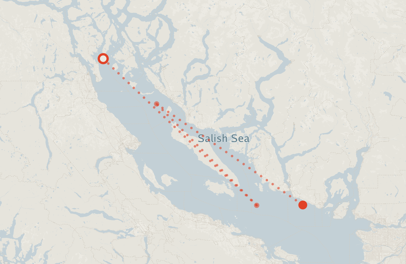 Activity map — real sighting points on an OpenStreetMap basemap