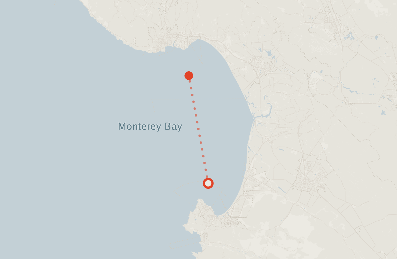 Activity map — real sighting points on an OpenStreetMap basemap