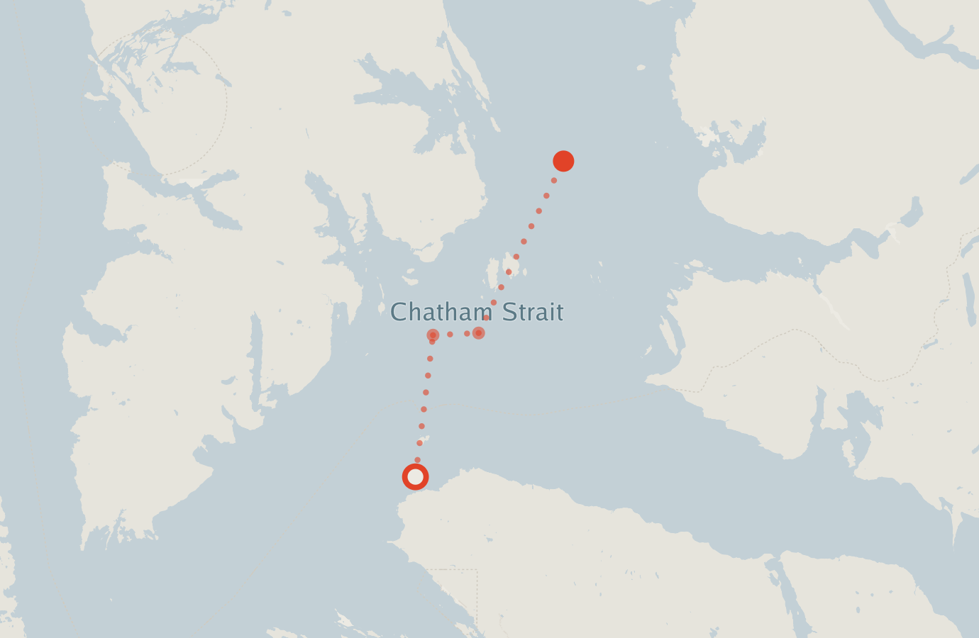 Activity map — real sighting points on an OpenStreetMap basemap