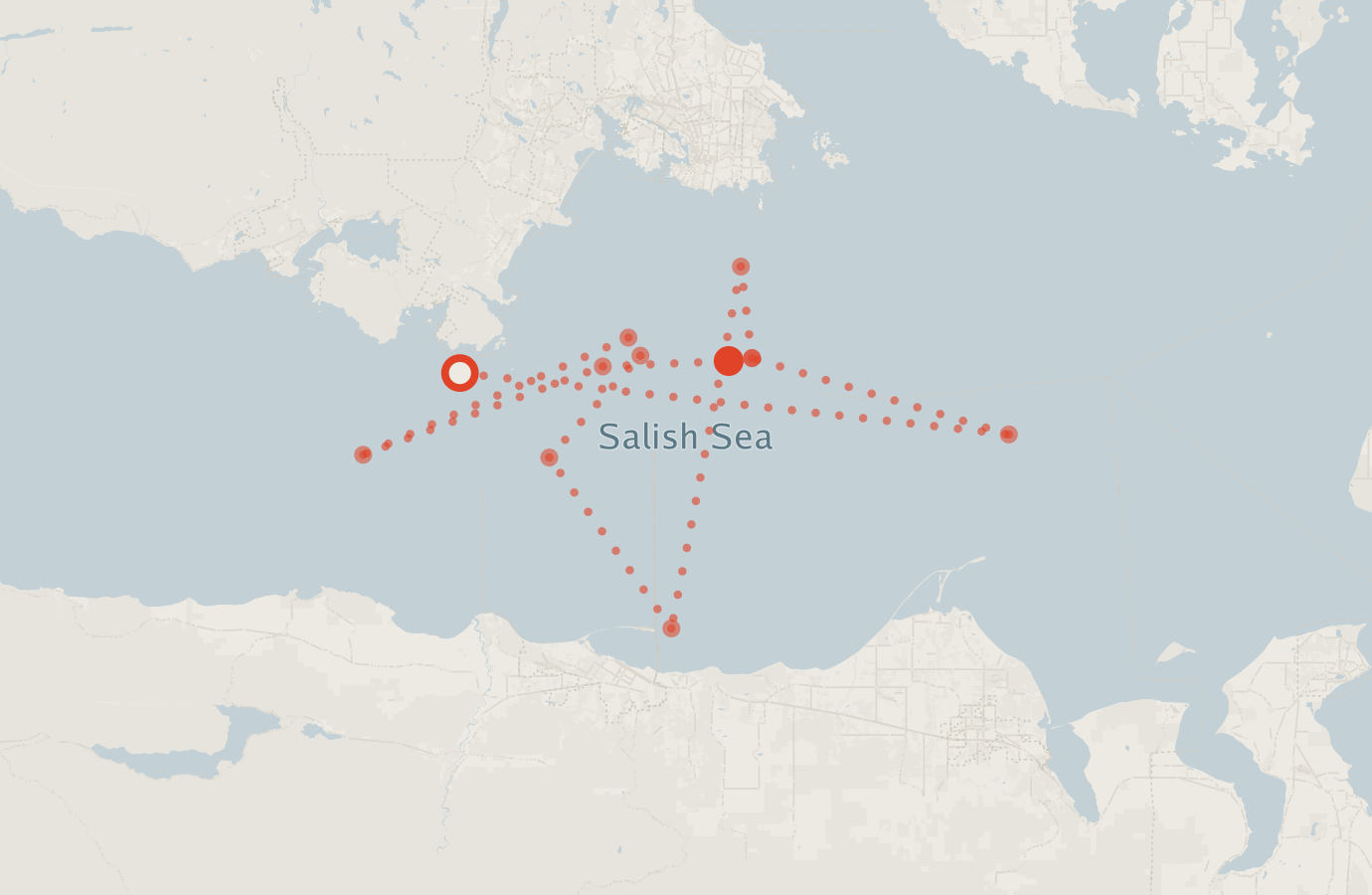 Activity map — real sighting points on an OpenStreetMap basemap